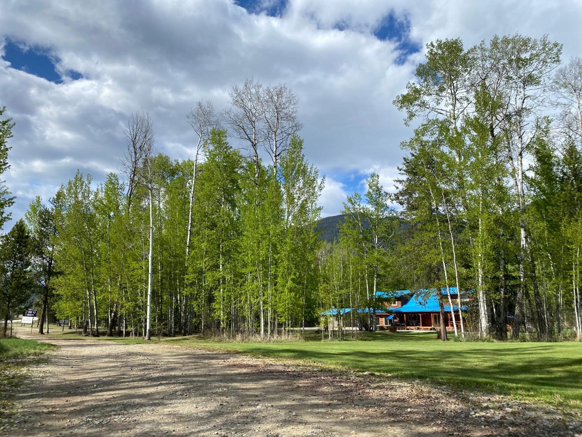 Cougar Mountain Lodge And Resort Cabin Rentals Valemount Exterior foto