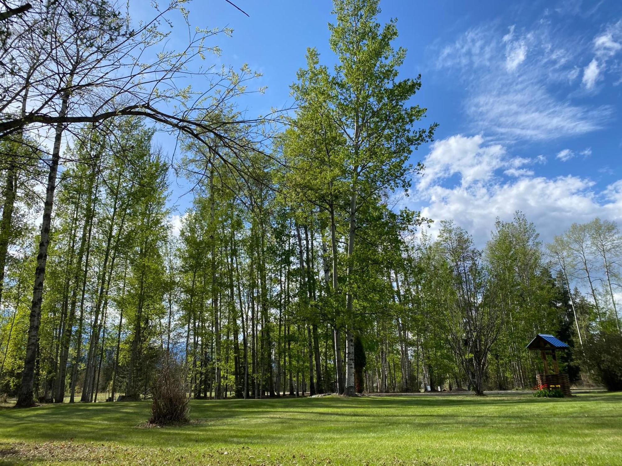 Cougar Mountain Lodge And Resort Cabin Rentals Valemount Exterior foto